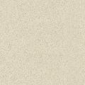   CaesarStone  2220 Ivory 