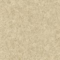   CaesarStone  2400 Champagne Limestone , : CaesarStone  