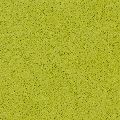   CaesarStone  2710 Apple Martini , : CaesarStone  