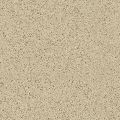   CaesarStone  3200 Bondi 