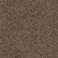   CaesarStone  3350 Walnut , : CaesarStone  