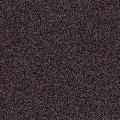   CaesarStone  3380 Esprsso .   CaesarStone