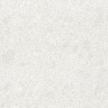   CaesarStone  4600 Organic White 