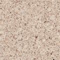   CaesarStone  9255 Sierra .   CaesarStone