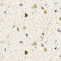   CaesarStone  9605 Free Spirit , : CaesarStone  