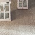 Vinilam   8855  ,  .