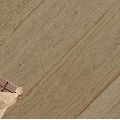  S1305  130  20  WoodFloor.   