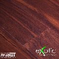  Exotic    